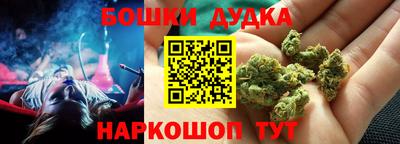 apvp Ачхой-Мартан